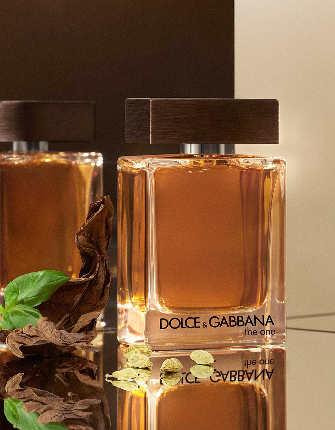 Dolce & Gabbana The One Men