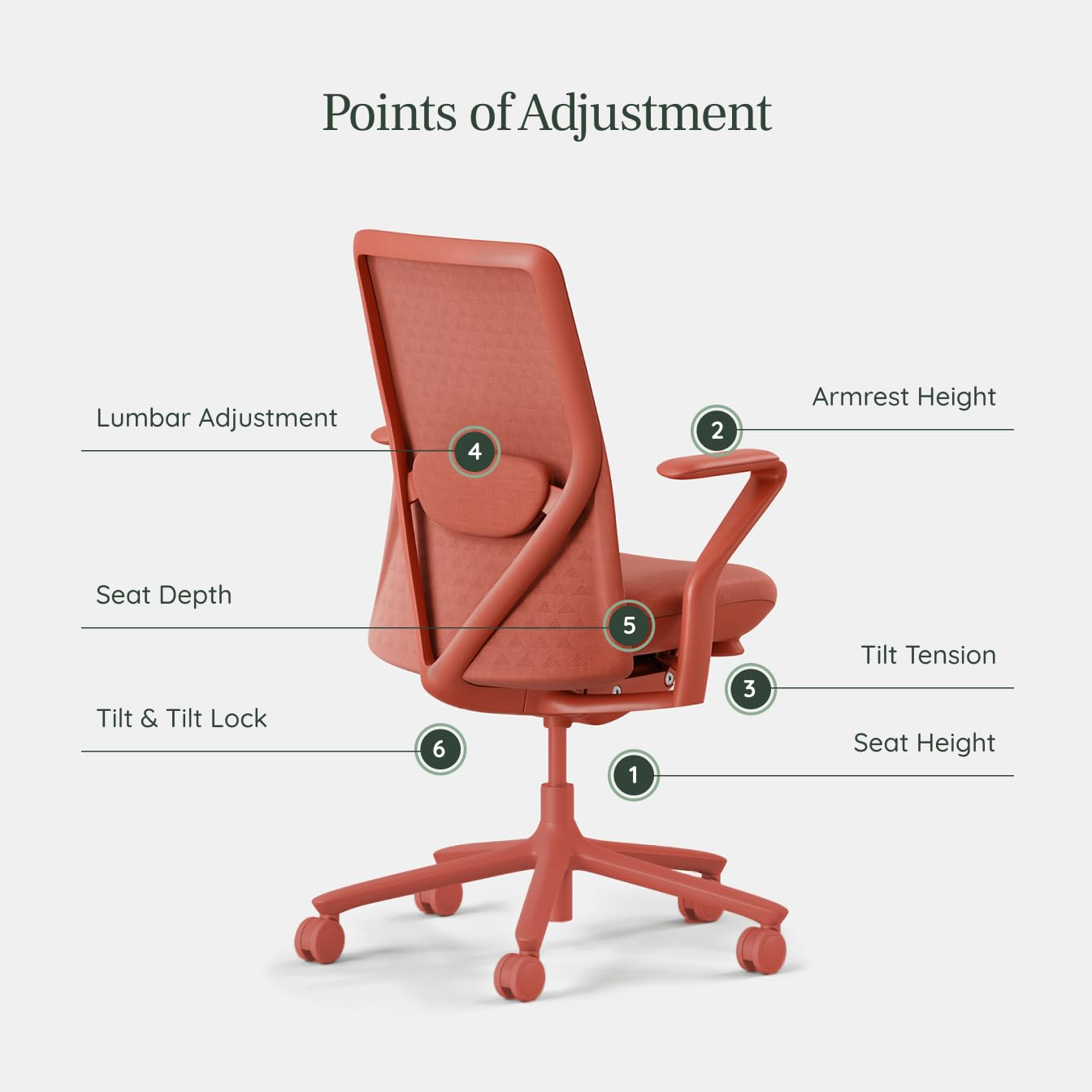Branch Verve Chair - High Performance Executive Office Chair with Contoured Back and Adjustable Lumbar Support - High Density Foam Cushion and 3D Knit Back - Fits 5' to 6', Up to 275 lbs, Coral