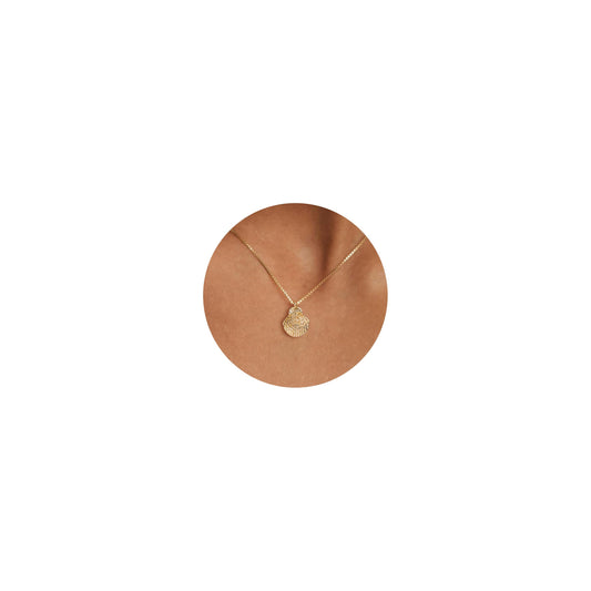 BSGRL Dainty Gold Necklace: 14K Gold Plated Shell Sea Beach Necklace for Women 16.5"+2"