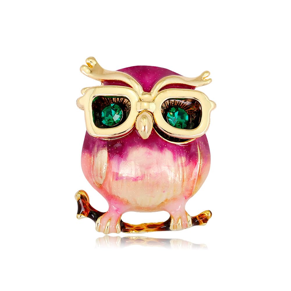 Enamel Owl Brooch for Women Cute Owl Pin Animal Brooch Birthday Holiday Gift for Wife Girlfriend Mother
