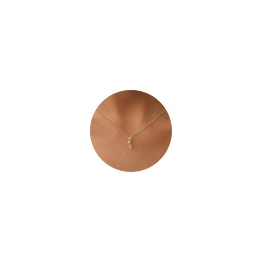 BSGRL Dainty Gold Necklace: 14K Gold Plated Seahorse Sea Beach Necklace for Women 16.5"+2"