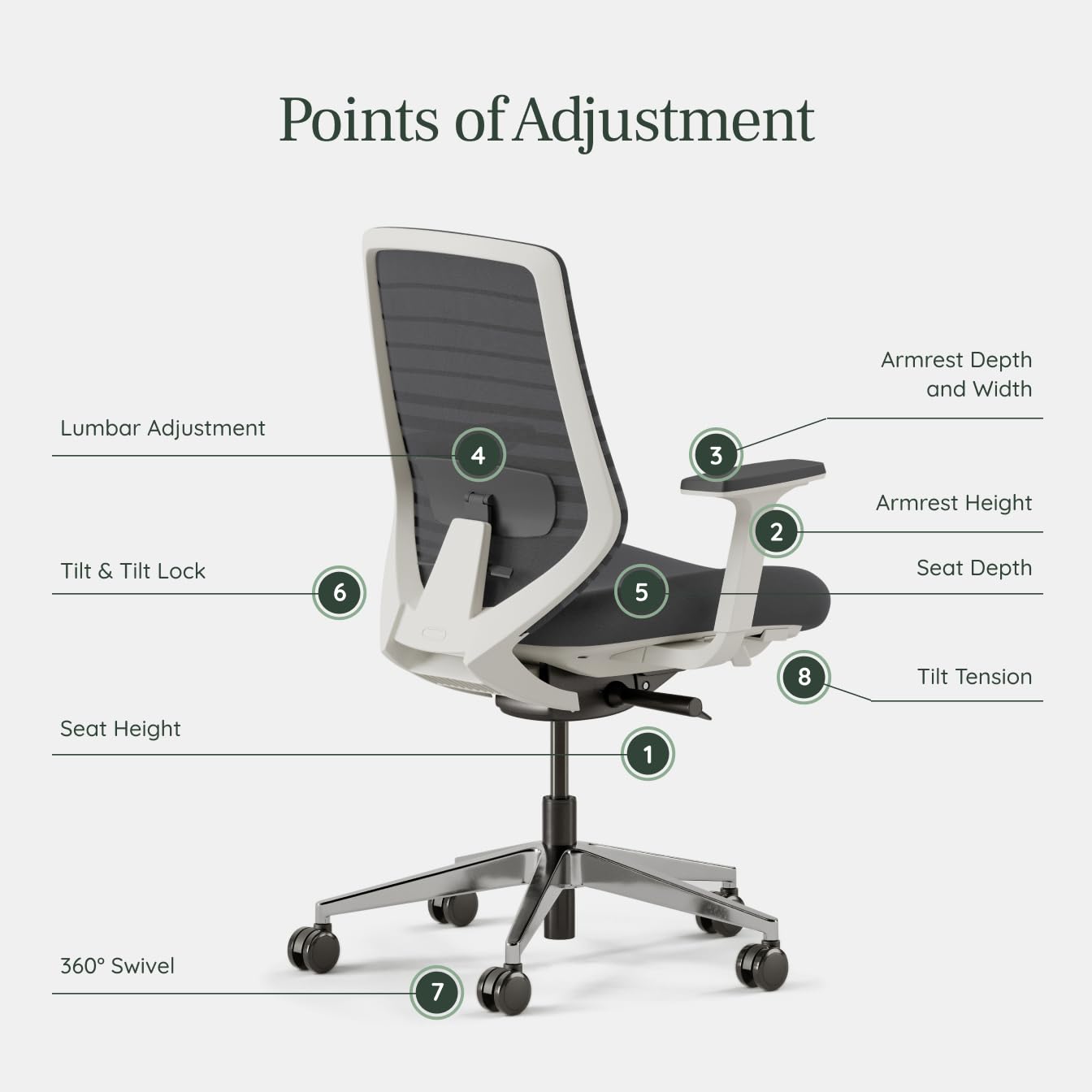 Branch Ergonomic Chair - A Versatile Desk Chair with Adjustable Lumbar Support, Breathable Mesh Backrest, and Smooth Wheels - Experience Optimal Comfort and Support - Graphite - White