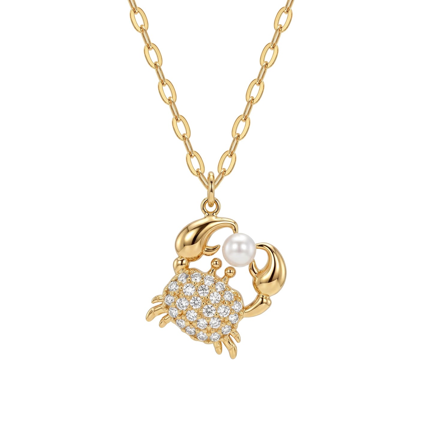 Dremmy Studios Dainty Necklace for Women 14K Gold Plated Crab Necklace Boho Summer Beach Coastal Pendnat Necklaces for Women Vacation Summer Jewelry Gift