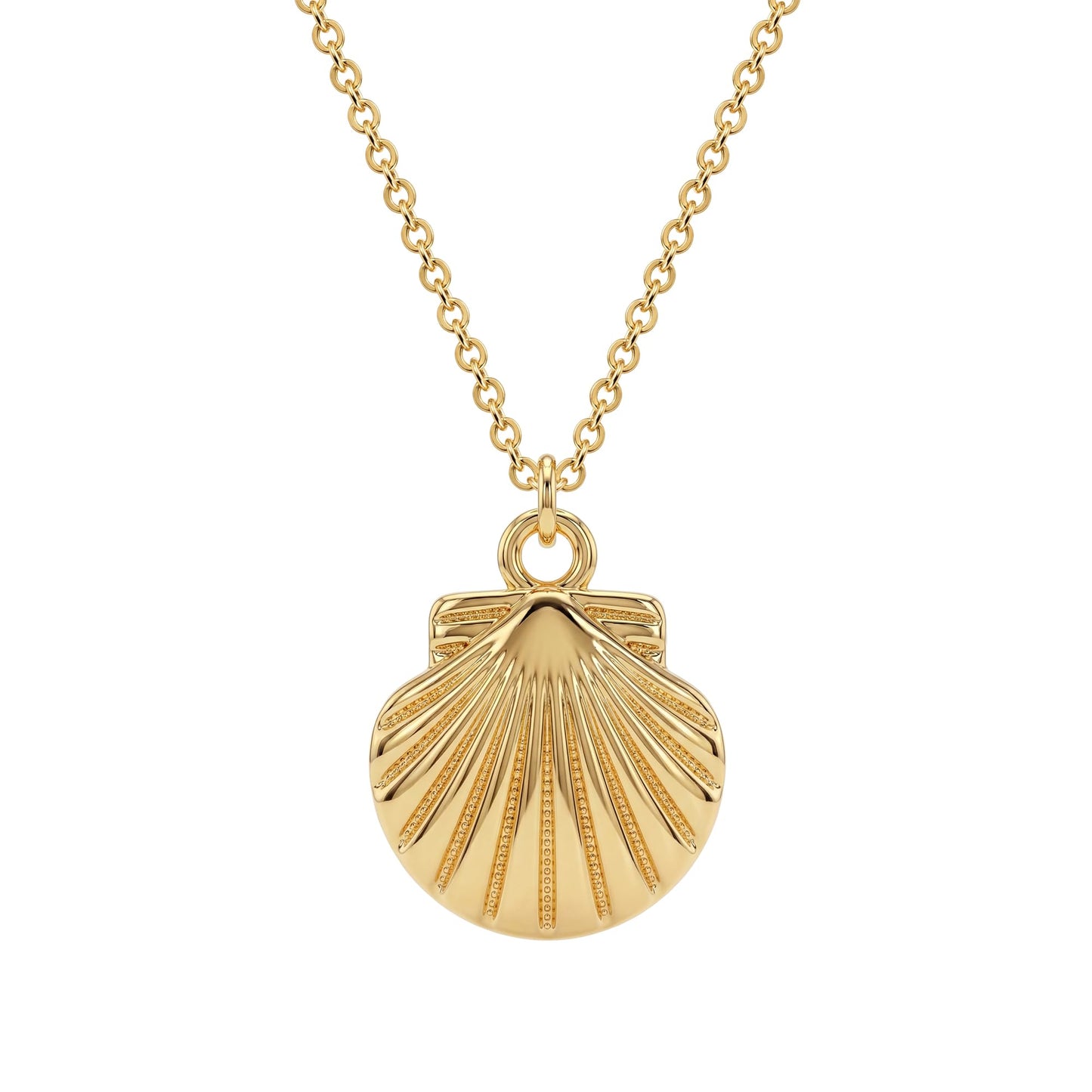 Dremmy Studios Shell Dainty Necklace for Women 14K Gold Plated Boho Summer Beach Coastal Pendnat Necklace for Women Summer Jewelry Gift