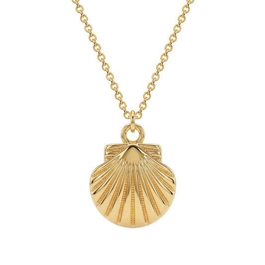 Dremmy Studios Shell Dainty Necklace for Women 14K Gold Plated Boho Summer Beach Coastal Pendnat Necklace for Women Summer Jewelry Gift