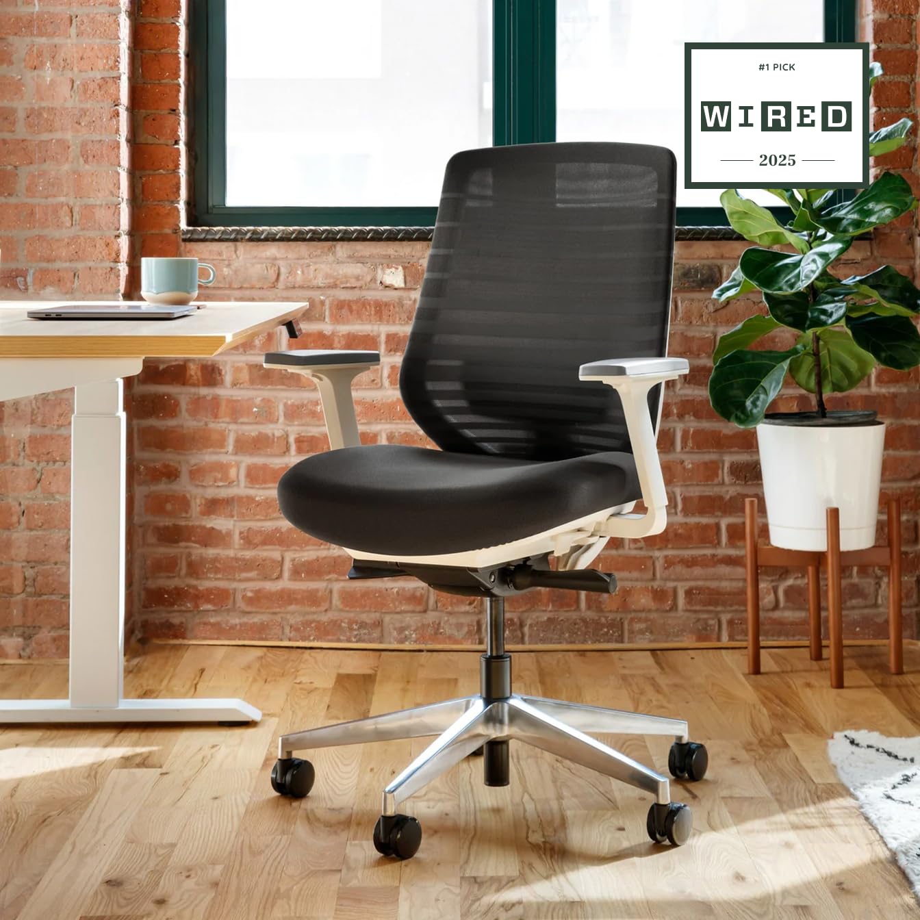 Branch Ergonomic Chair - A Versatile Desk Chair with Adjustable Lumbar Support, Breathable Mesh Backrest, and Smooth Wheels - Experience Optimal Comfort and Support - Black