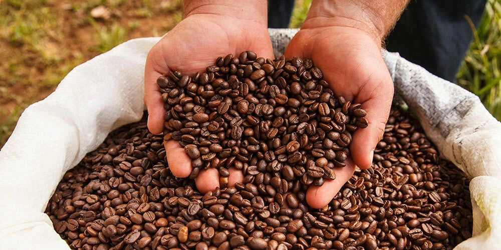 Low Acid Brazilian Mogiana Coffee